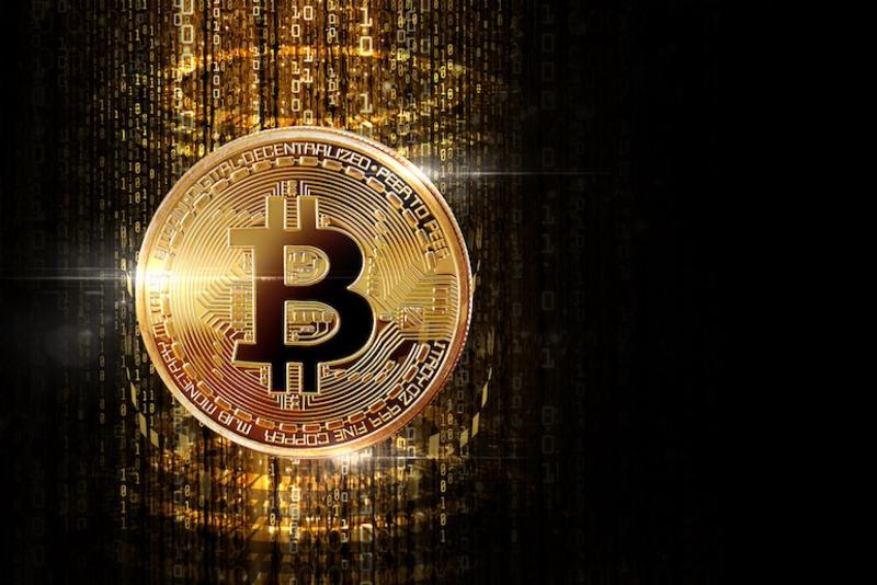 Retour sur la chute des cryptomonnaies 
