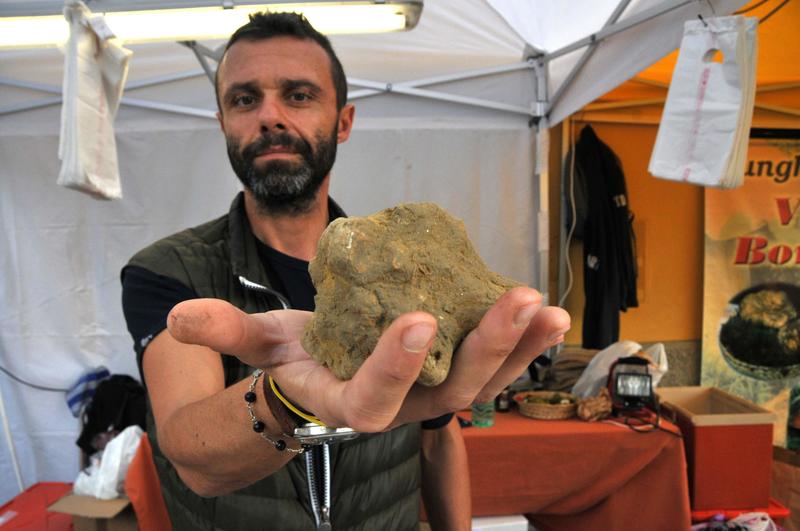 Tartufesta a Sasso Marconi, 2 weekend di festa: quando assaggiare i prodotti tipici dell’Appennino
