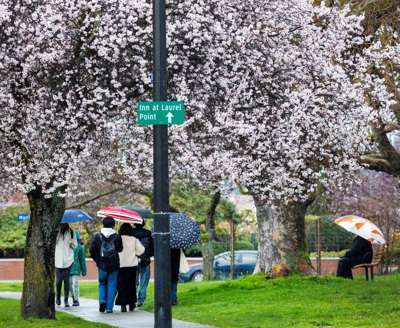 Letters Oct. 15: James Bay boundaries; Oak Bay manor yard