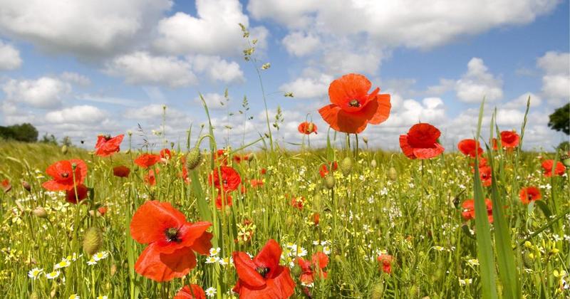Farmers welcome funding lifeline as nature payments extended for one year