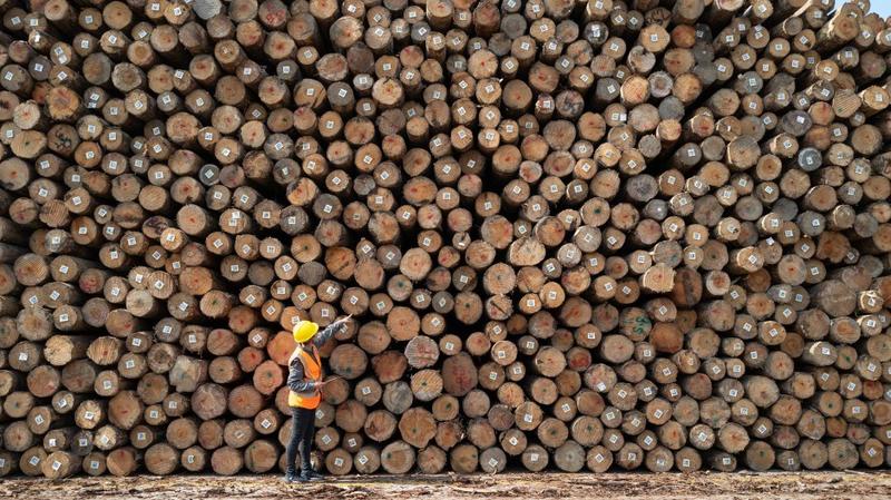Rob Shaw: Even Eby’s critics are siding with him on softwood