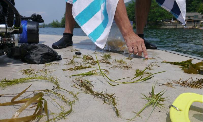 EDITORIAL: Treat Lake George with care EDITORIAL: Treat Lake George with care