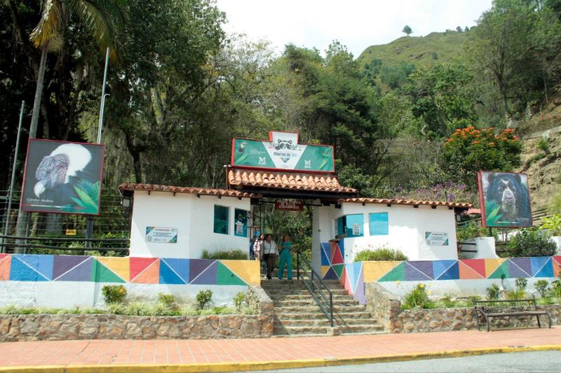 Mérida celebrará el aniversario del zoológico Chorros de Milla  Mérida celebrará el aniversario del zoológico Chorros de Milla