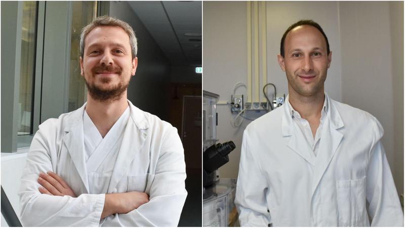 Ricercatori da record: chi sono i 2 scienziati dell’Irst tra i “migliori del mondo”
