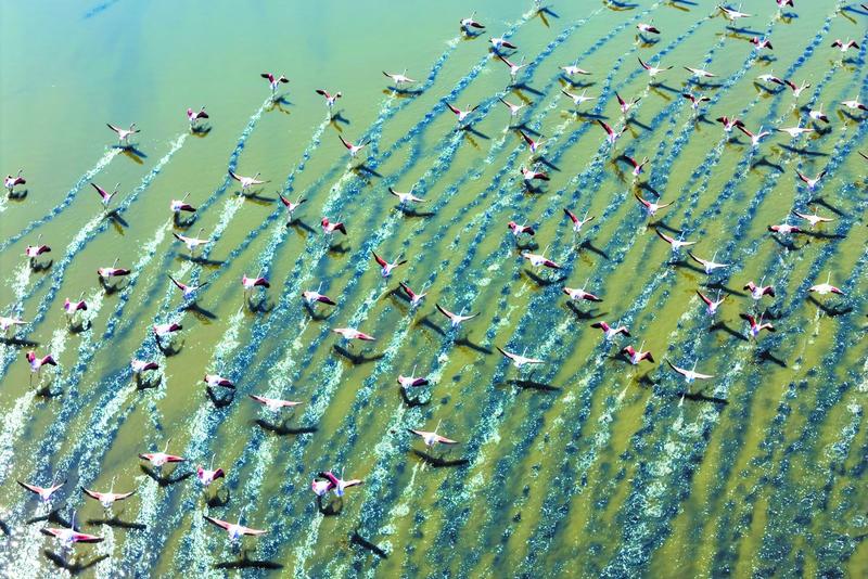 Δικαιώσεις και δικαιώματα