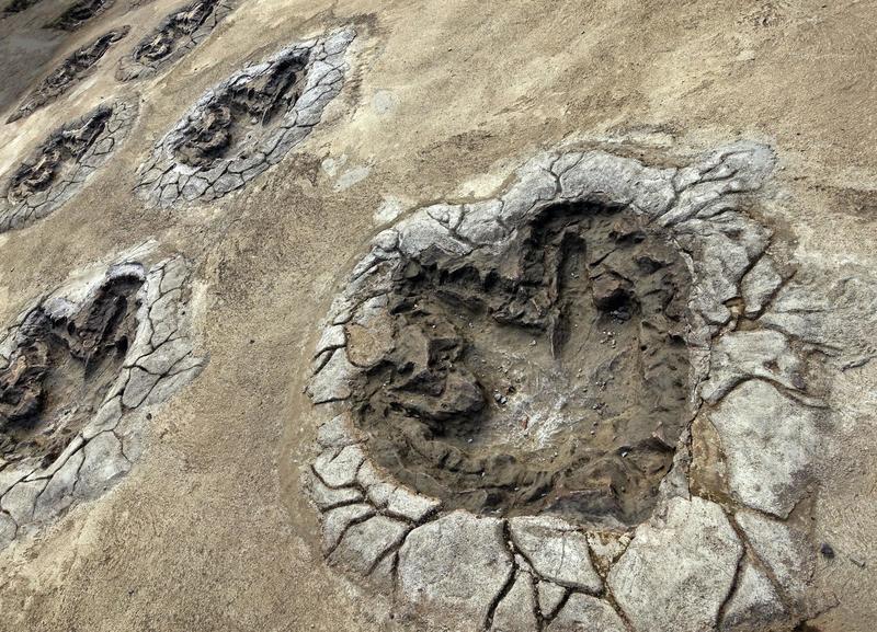 Nuove impronte di dinosauro scoperte in Inghilterra: una strada giurassica di oltre 200 metri nella cava di Dewars Farm