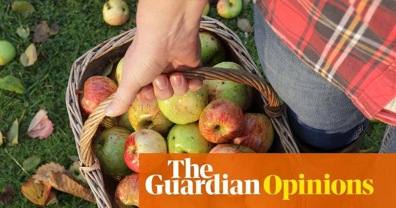 My mum died this year. And the glut of apples from her tree has brought with it a new kind of grief