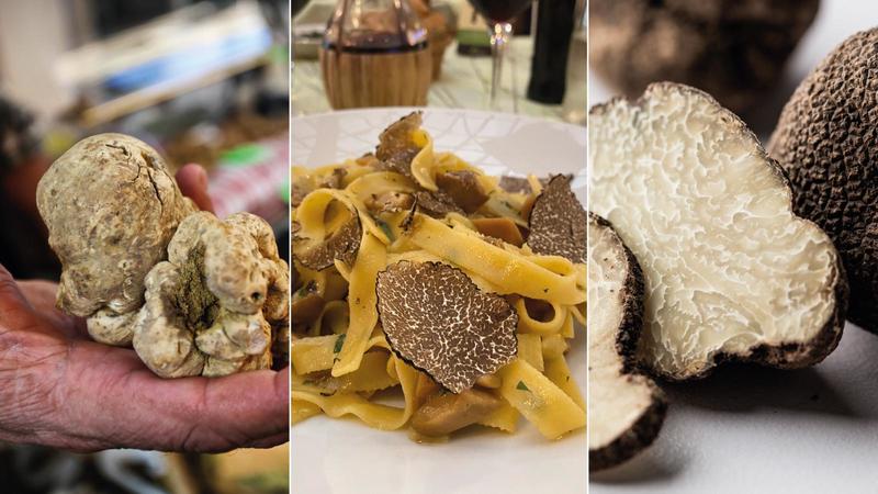 Fiere e feste del tartufo nelle Marche: degustazioni e show cooking