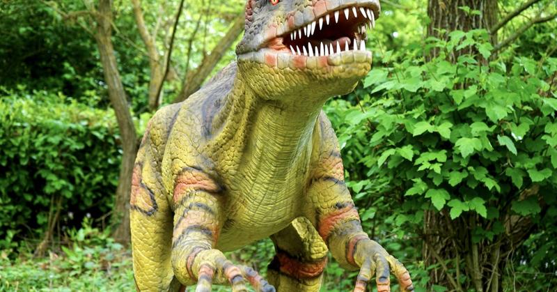 A Celebratory Wild Ride Through the History of Life on Earth