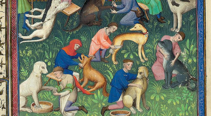 Les chiens au Moyen Âge : ce que les écrits médiévaux nous apprennent sur les animaux de compagnie de nos ancêtres