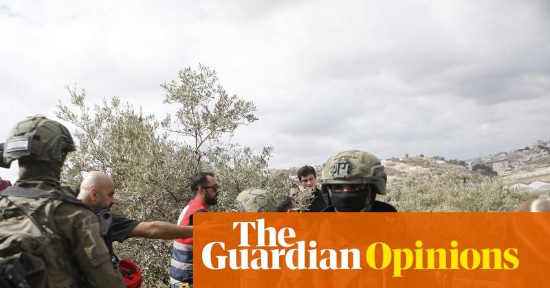 While the eyes of the world are on Gaza, Israeli settlers in the West Bank still behave with impunity