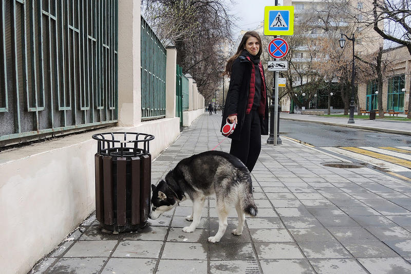 «В таком виде – треш»: кинологи поспорили с депутатами о выгуле собак