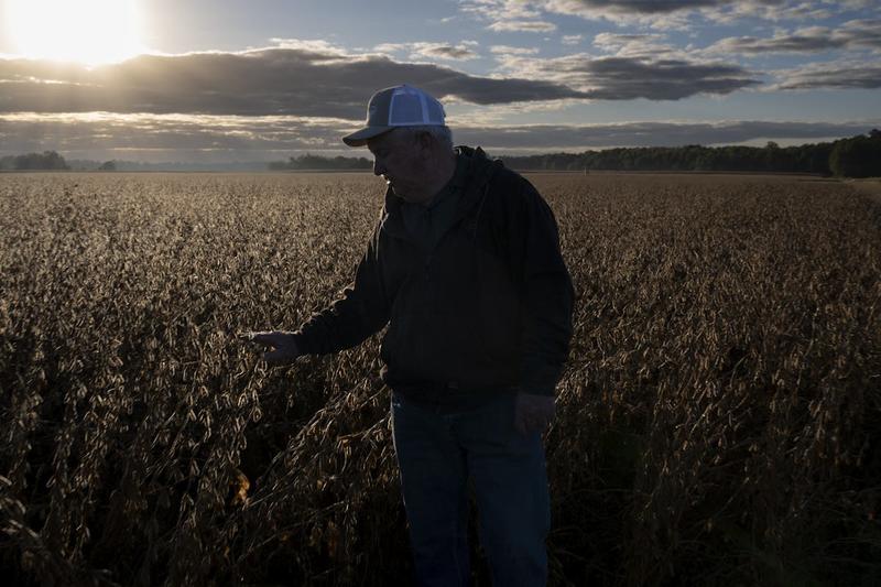 Trump Is Running Out of Time to Save Farmers From His Tariffs