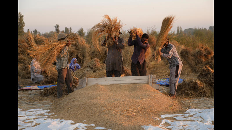 World Food Day 2025: Building a hunger-free world and society World Food Day 2025: Building a hunger-free world and society