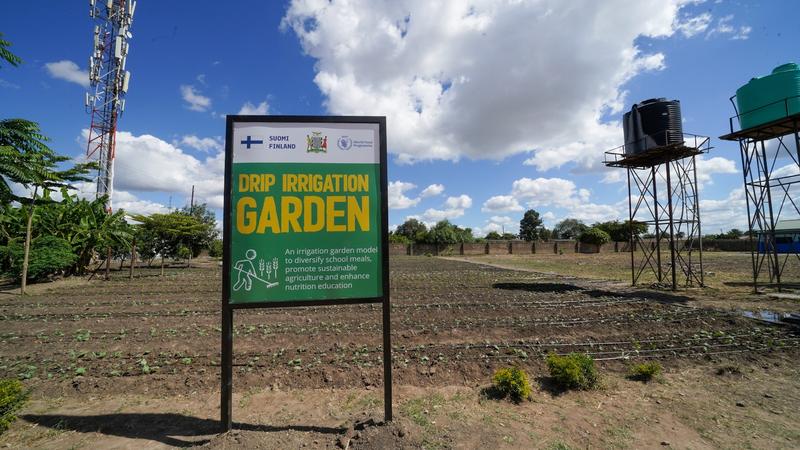 Politiikka | Yliö: Kun Yhdysvallat perääntyy, Afrikka tarjoaa mallin – ja suomalaisen maaseudun on syytä tarttua siihen