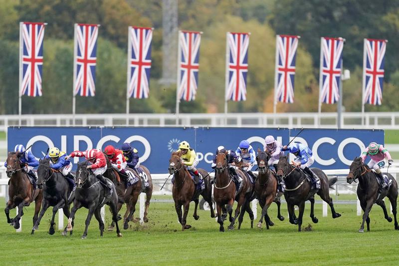 Five bets for Champions Day at Ascot Five bets for Champions Day at Ascot