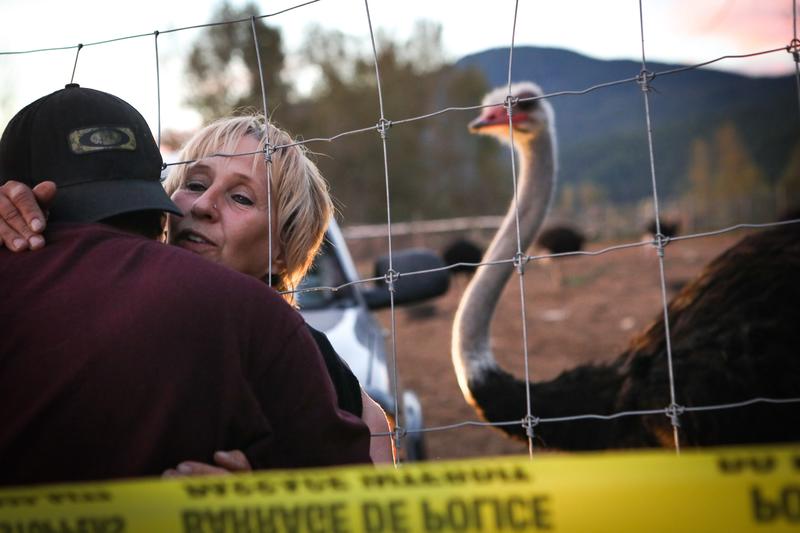 Large African birds crowded on Canadian farms — what could go wrong? 