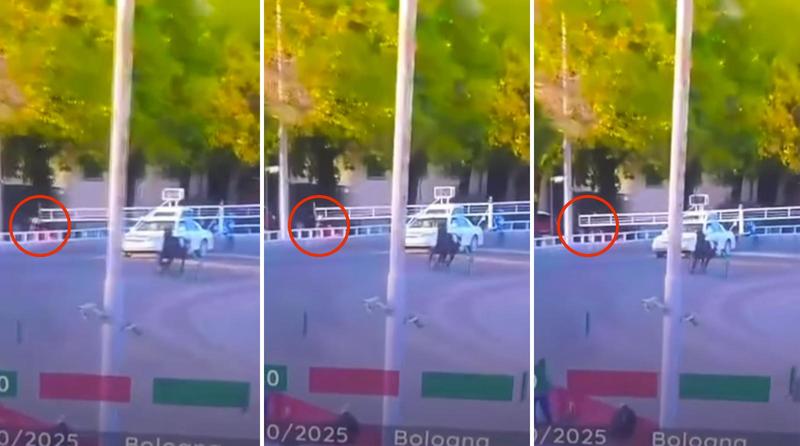 Incidente all’Ippodromo, spettatore colpito dalle ali del veicolo che accompagna i cavalli: gravissimo