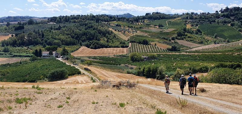 Cammino di Sant'Antonio, apre il nuovo tratto Forlì Rimini: le tappe