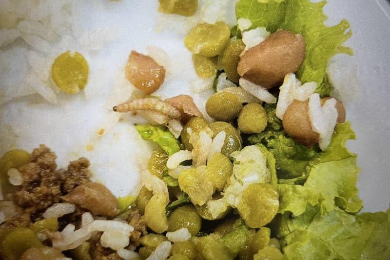 Carrefour é condenado por fornecer refeição com larva para funcionária