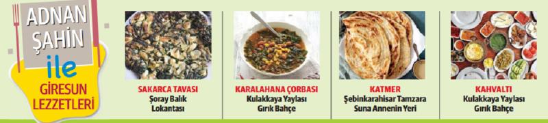 Geleceğe bakan şehir: Giresun Geleceğe bakan şehir: Giresun