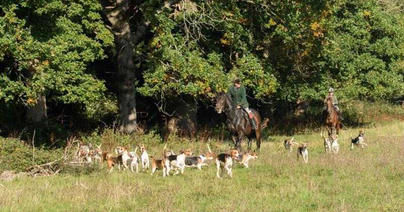 Trail hunters defend countryside tradition amid 'nonsensical' ban threat Trail hunters defend countryside tradition amid 'nonsensical' ban threat