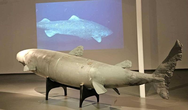 «Oppstår kamper mellom det figurative og abstrakte»