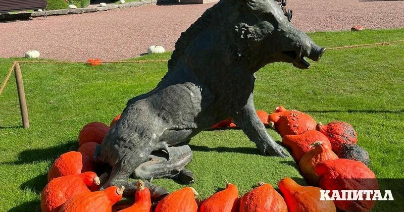 Нюзлетър | Безсрамието като политическа стратегия, а парите не миришат