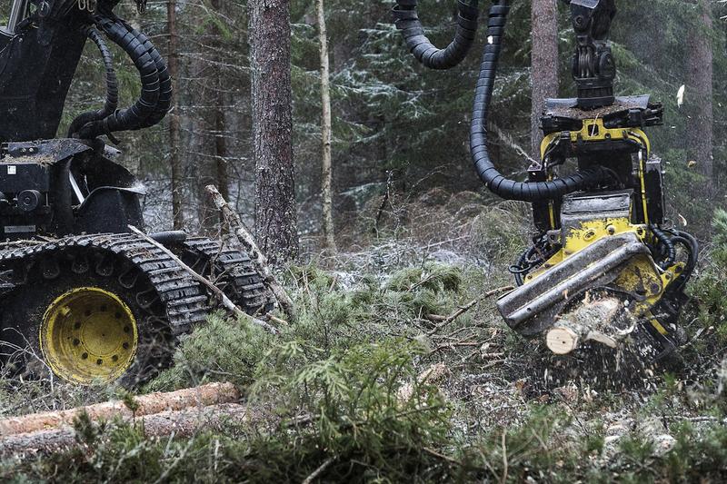 Ympäristö | Lukijalta: Suometsien metsätalouskäytön vaikutuksista tarvitaan lisätietoa