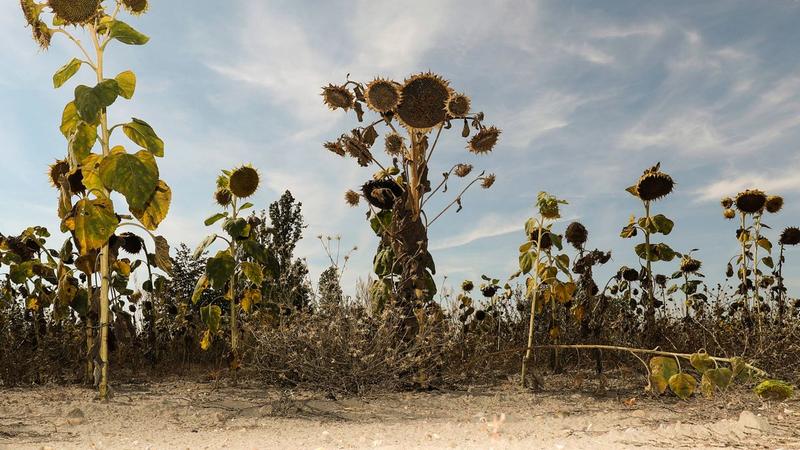 Es reicht nicht, auf die nächste Katastrophe zu warten