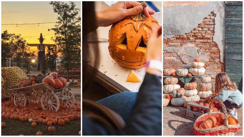 Pumpkin patch: dove sono i villaggi della zucca in Emilia Romagna, Marche e Veneto