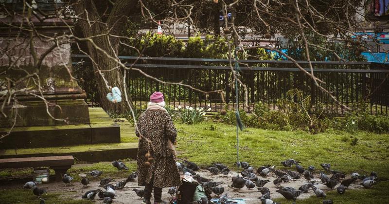 The Perks of Simply Pausing and Appreciating Wildness