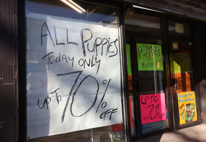 The war on pet stores and more: Letters to the Editor — Oct. 19, 2025 The war on pet stores and more: Letters to the Editor — Oct. 19, 2025