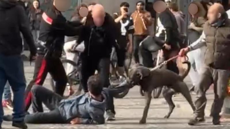 Lecco, ‘Arancia meccanica’ in centro: in tre contro uno, gli aizzano anche contro un pitbull /