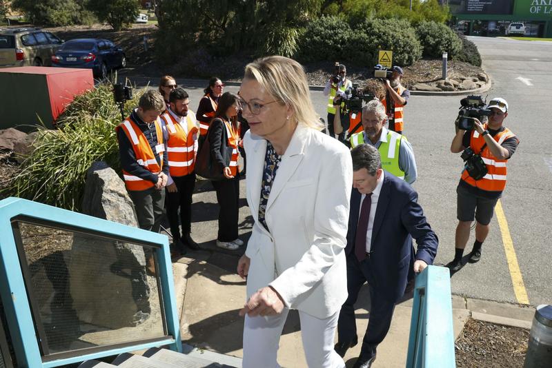 Sussan Ley commits to offering income tax cuts at the election