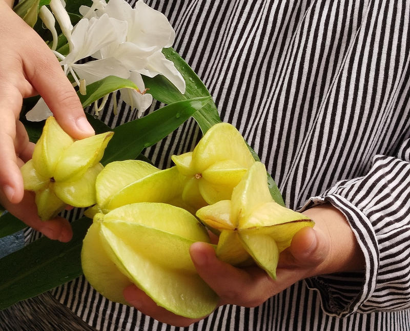 Tiempos virales: para una ética de la siembra