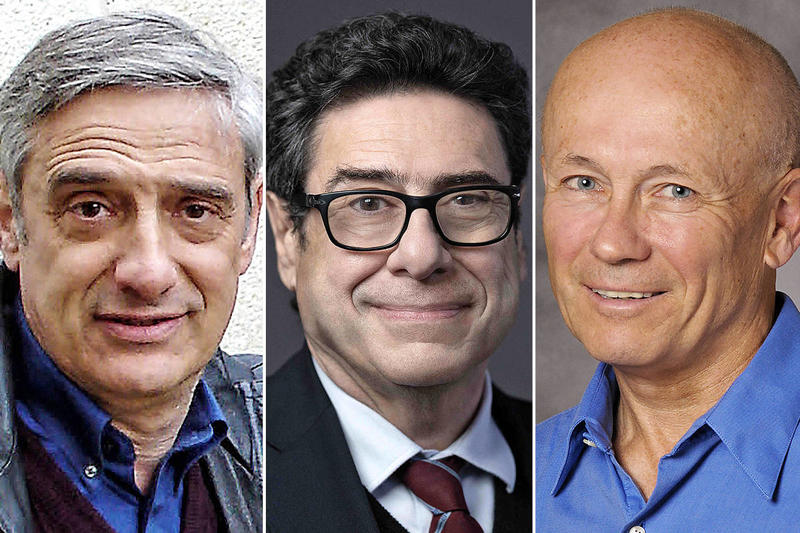 O Brasil dos bancos, sob a ótica do Nobel