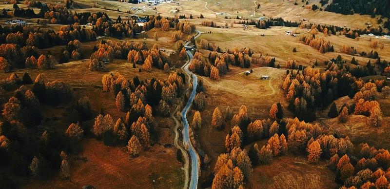 Foliage in Italia: viaggio in 10 boschi da scoprire (e fotografare)