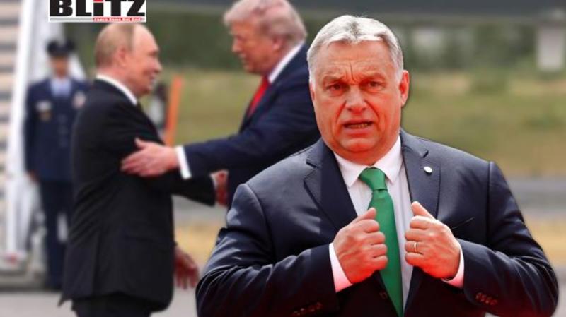 Global diplomatic impact of Budapest’s hosting Putin-Trump summit