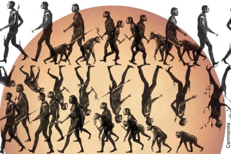 O Estado brasileiro, esse demiurgo, é feito para destruir os cidadãos