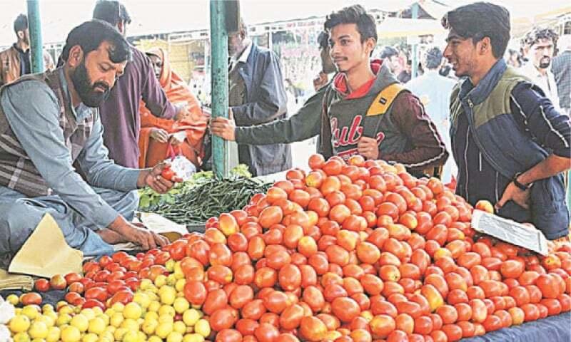 Consumers face tomato shock amid govt’s inaction