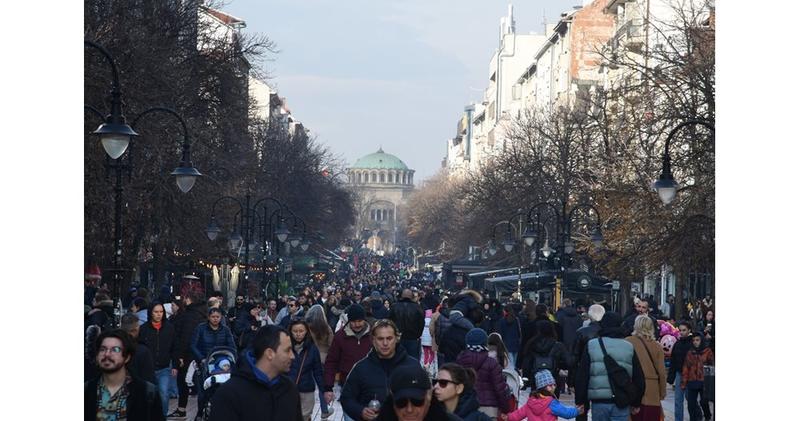 Адриан Николов, Институт за пазарна икономика