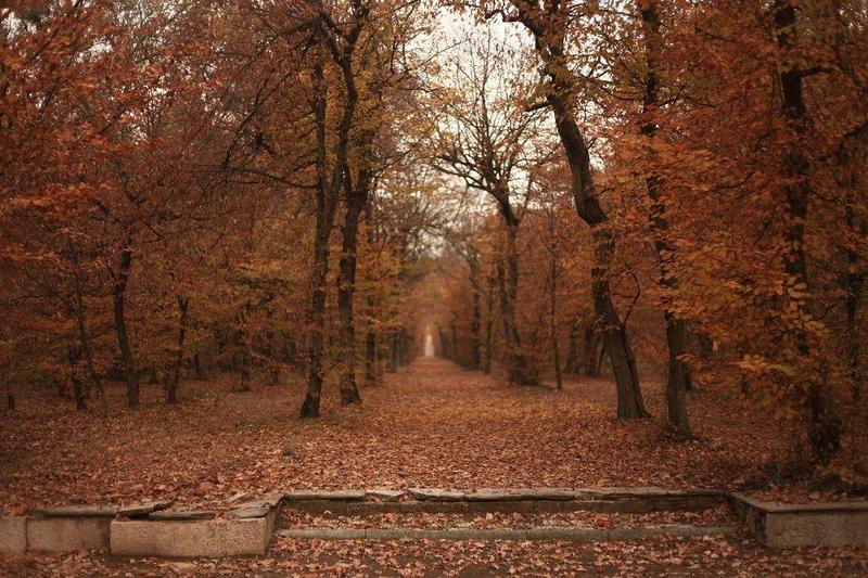Passeggiate d’autunno nei giardini di Villa Arconati
