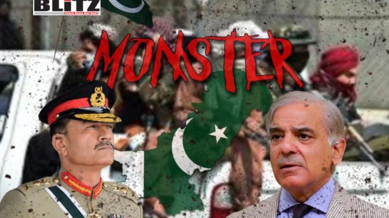 The monster Pakistan made is now devouring South Asia