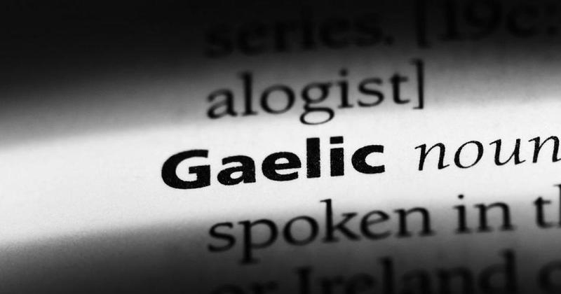 The heartbeat of business: Gaelic’s rise as a brand