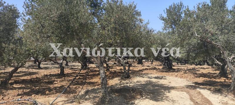 Όλα… ανεβαίνουν, εκτός...