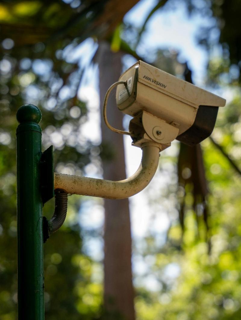 Senate Bill 1462: Putting Alexa in the Woods