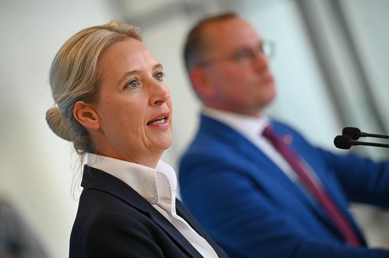 Einen Spaltpilz für die AfD