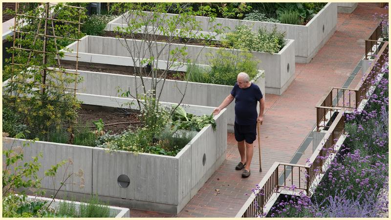Stirling prize 2025: Appleby Blue pioneers affordable social housing tackling elderly loneliness Stirling prize 2025: Appleby Blue pioneers affordable social housing tackling elderly loneliness