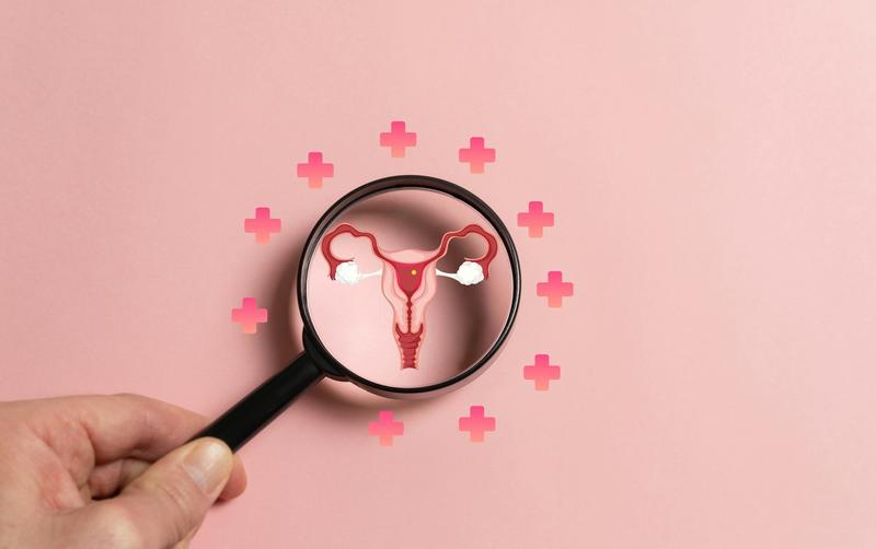 Fertility: the ovaries play a key role in reproductive decline, new research shows